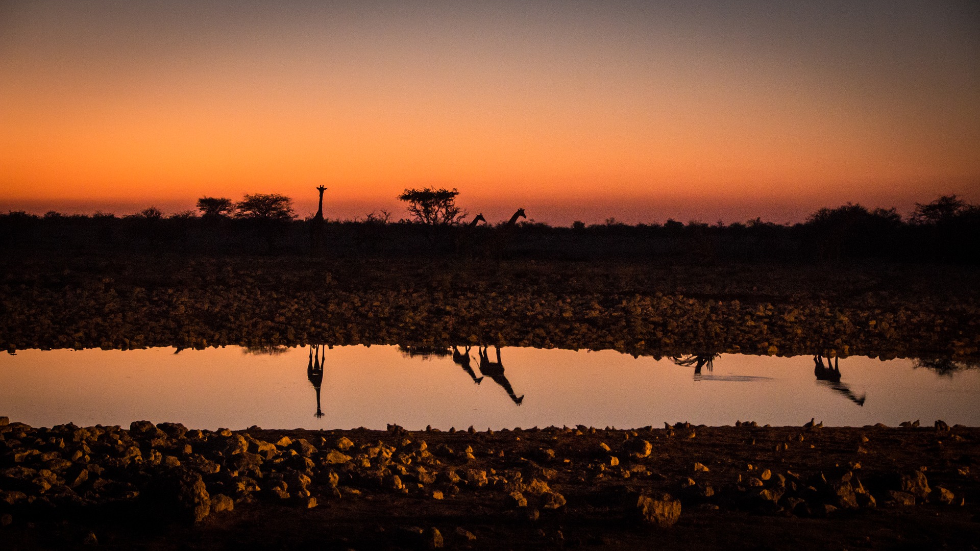 Etosha National Park Visit Namibia   Namibia G6e327500d 1920 